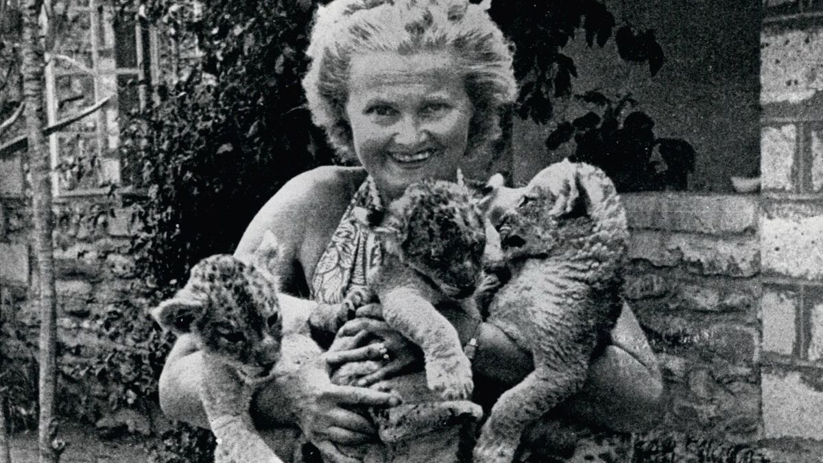 Rodačka z Opavy Joy Adamsonová (†69) zachraňovala lvy a vydělala miliony. V Africe ji zavraždil domorodec
