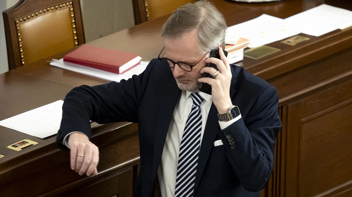 Super vtip: Novému Survivorovi mezi prvními gratuloval Petr Fiala. Víme, o čem byla řeč
