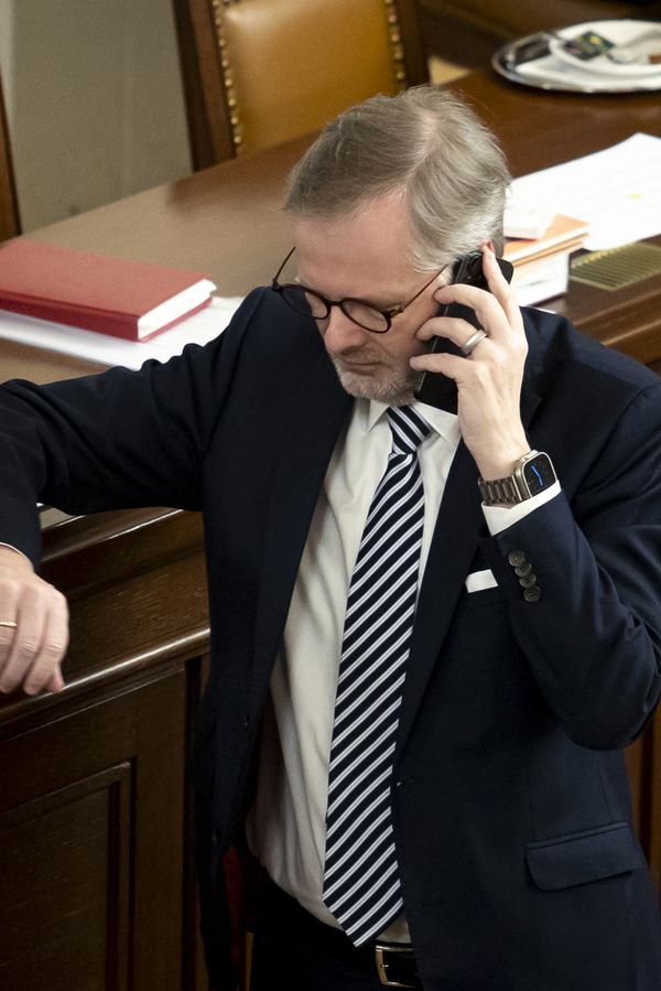 Super vtip: Novému Survivorovi mezi prvními gratuloval Petr Fiala. Víme, o čem byla řeč - fotka 1/1