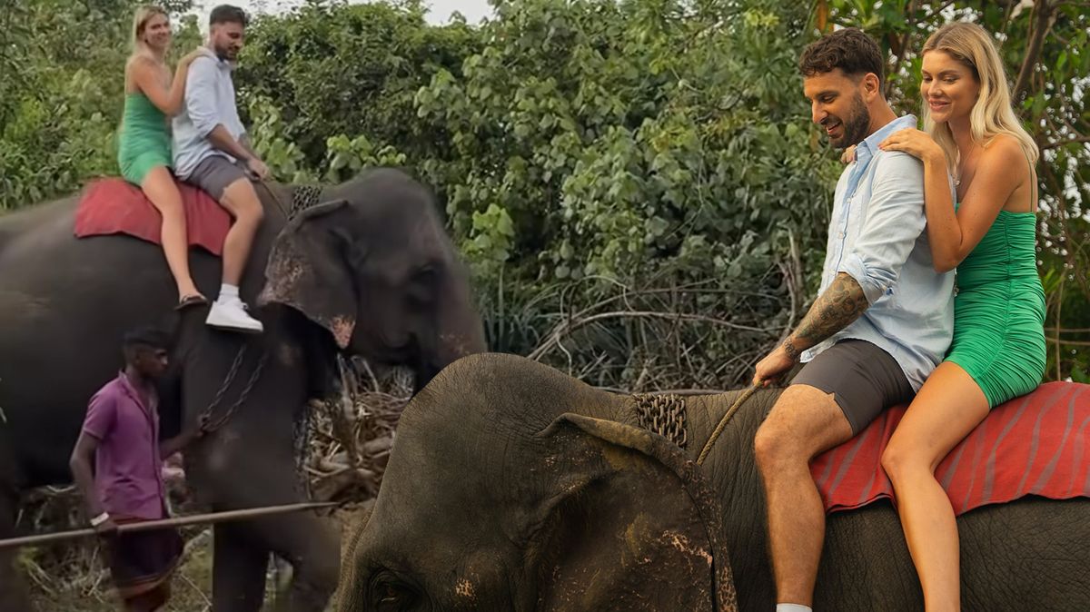 Týrání zvířat v přímém přenosu! Diváci Růže jsou znechuceni z výletu za slony. Řetězy kolem krku i muž s tyčí