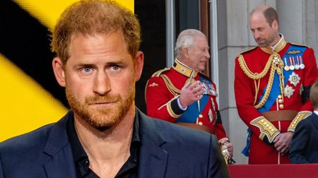 Princ Harry udělal velmi nečekaný krok. Tímto by mohlo dojít k usmíření celé královské rodiny! 