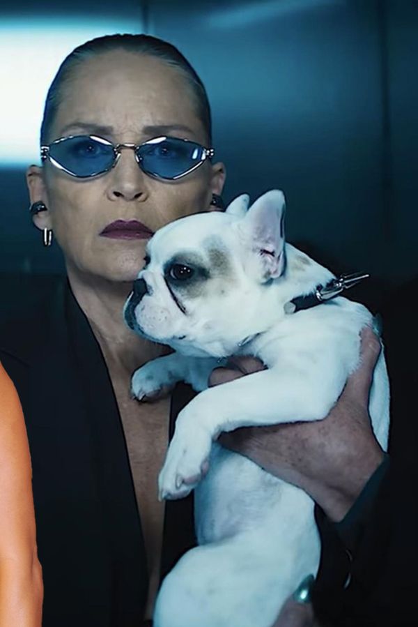 Sharon Stone se toho nebojí! V 67 letech se nafotila bez podprsenky s ex své kolegyně Halle Berry - fotka 1/1
