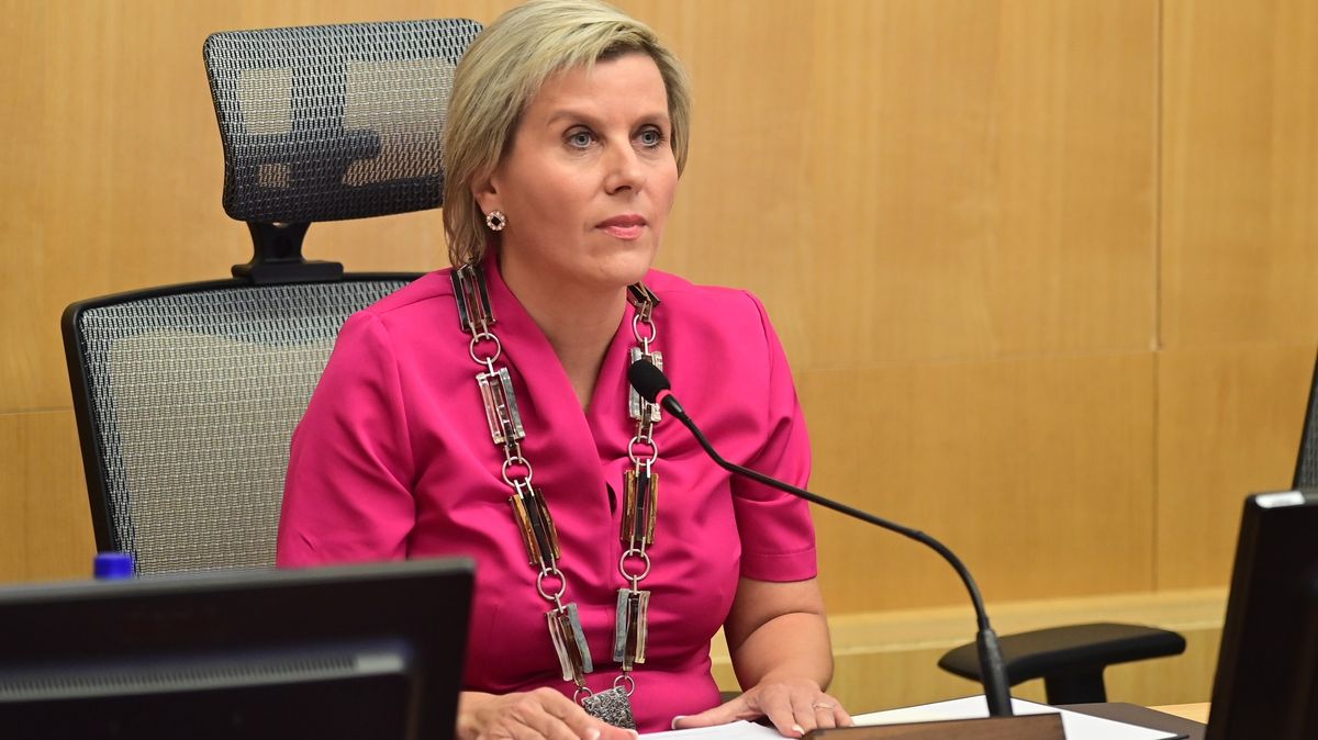 Z šedé myši žena vamp: Hejtmanka a senátorka Vildumetzová se pro Douglase udělala krásnou a fanoušci jen zírají
