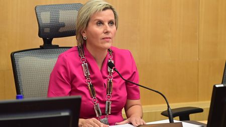 Z šedé myši žena vamp: Hejtmanka a senátorka Vildumetzová se pro Douglase udělala krásnou a fanoušci jen zírají