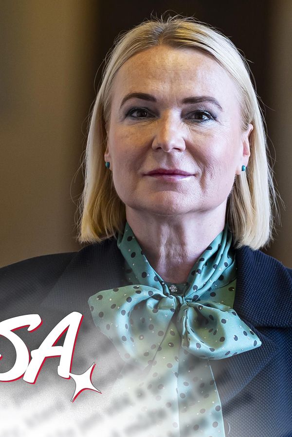 Glosa: Neschopní politici a všehoschopní lobbisté kolem armády. Bude zemi bránit nějaká neziskovka?  - fotka 1/1