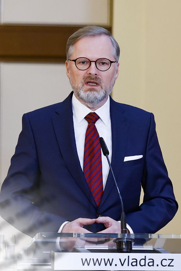 Glosa: Poskoci politiků už počítají vypité flašky. Kapustiček bude po volbách méně než slimáčků - fotka 1/1