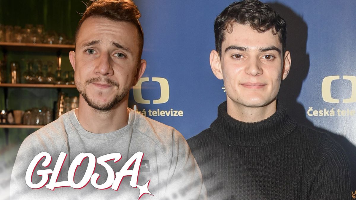 Glosa: Trojan, Štáfek a další. Herci prostě musí před každými volbami žvanit lidem do jejich výběru