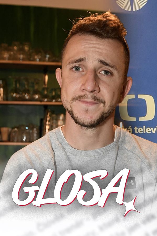 Glosa: Trojan, Štáfek a další. Herci prostě musí před každými volbami žvanit lidem do jejich výběru - fotka 1/1