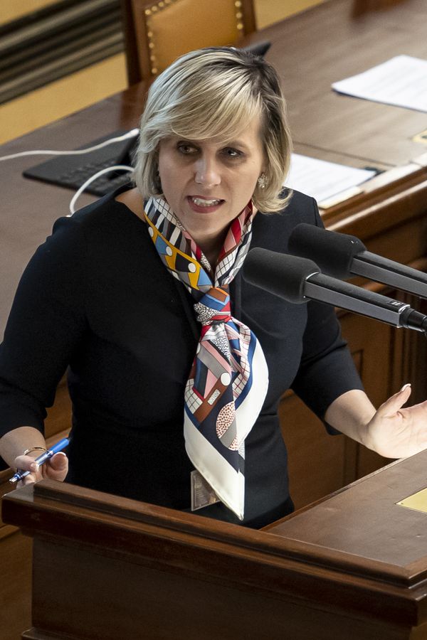 Senátorka Mračková Vildumetzová pracovně ve Vietnamu: Cesty do exotiky už nevadí. A co syn? ptali se jí kvůli rezignaci - fotka 1/1
