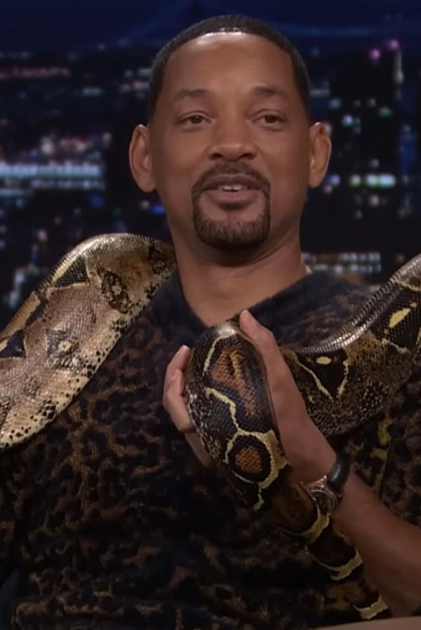 Will Smith ‚mačkal‘ hada před kamerou a po dlouhých měsících ho vyfotili s Jadou - fotka 1/1
