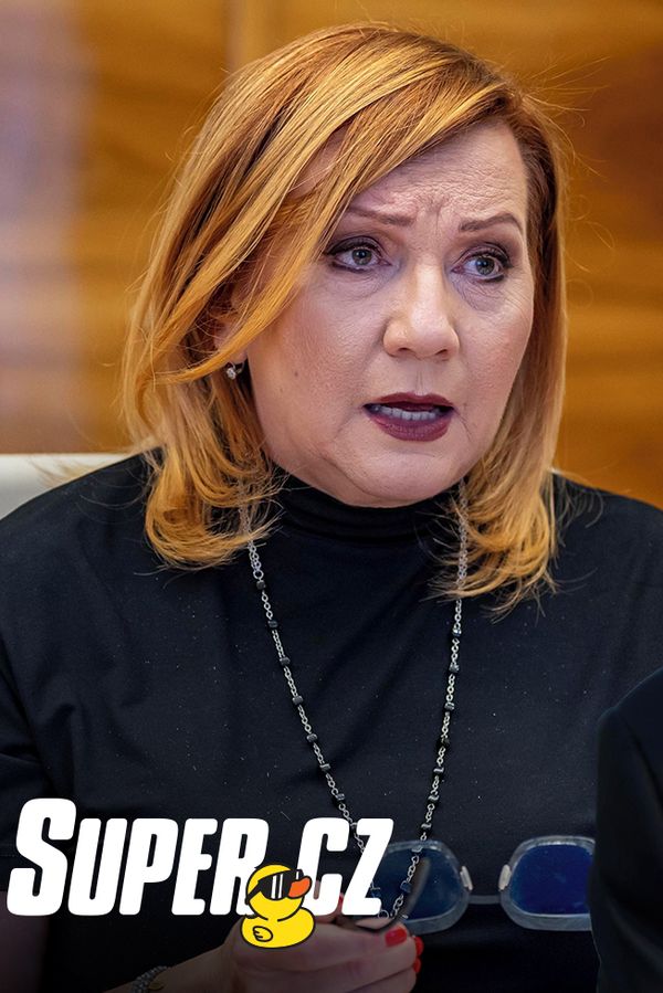 Super kachna: Prezident rozpočet nepodepíše. Vláda v nouzi připravila Červenou úsporám - fotka 1/1