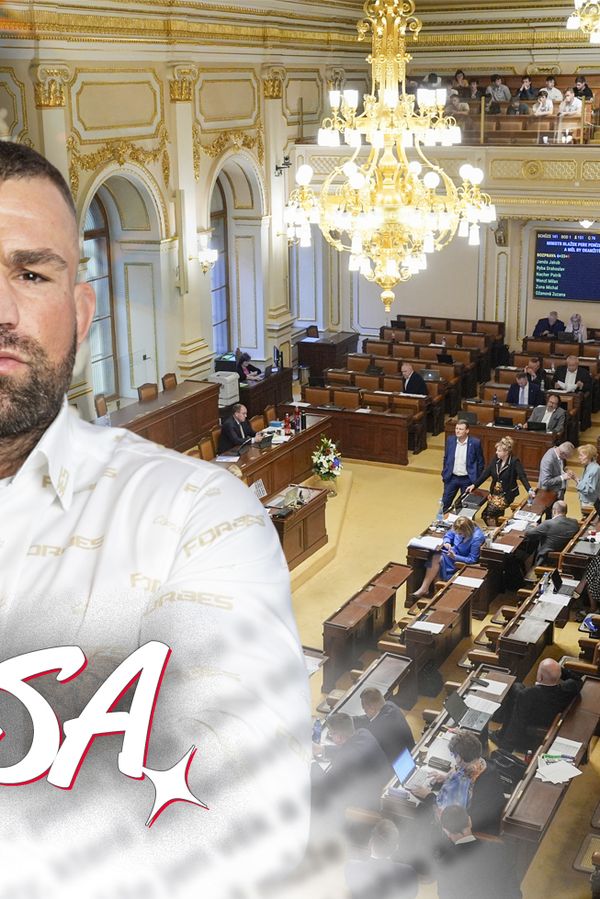 Glosa: Chybí už jen „sexuální opruz“. Chlapáci z SPD prý ponižují mladé Pirátky a říkají jim „smažky“. Vémolu na ně! - fotka 1/1