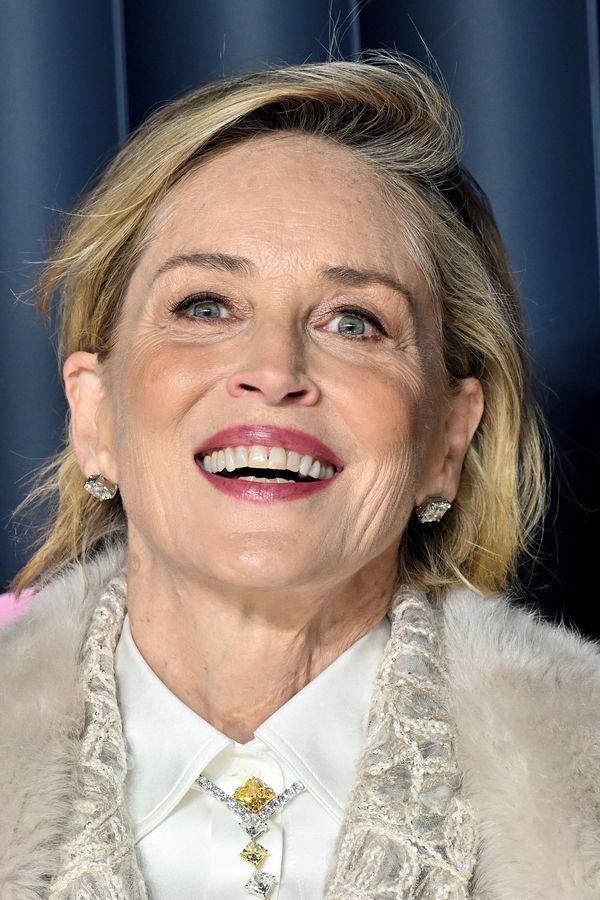 Takhle už Sharon Stone nevypadá! Herečka se pochlubila ‚novým‘ obličejem i vlasy na premiéře - fotka 1/1