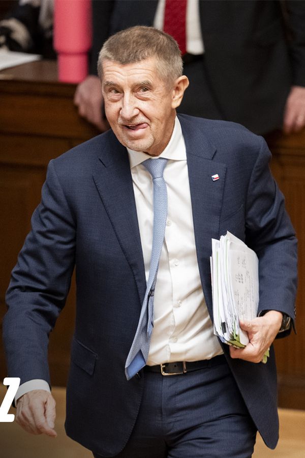 Super kachna: Česko chystá státní cestovku. Kdo má zaplacenou letní dovolenou, ať ji raději zruší - fotka 1/1