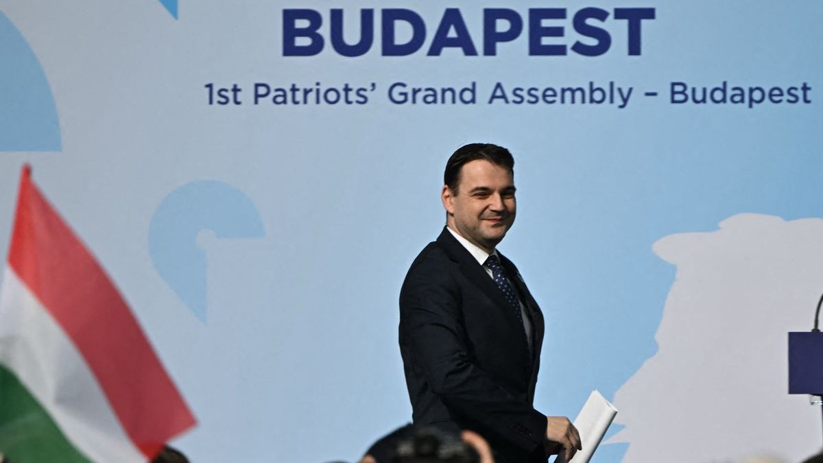 Provokatér Macinka řádil v Maďarsku: Je to „borec a pusinka“, či továrna na ostudu? Europoslanec žádá test na drogy