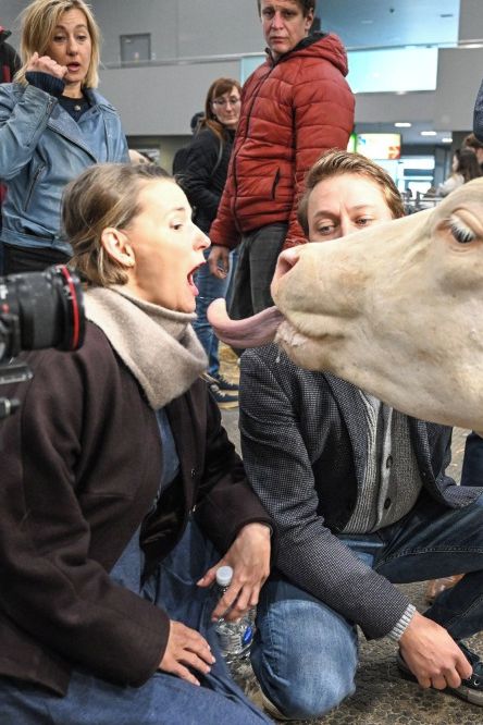 Padnete smíchy: Čerstvá maminka Šárka Krausová dostala francouzáka od krávy, pak se jí vrhla k vemenu - fotka 1/1
