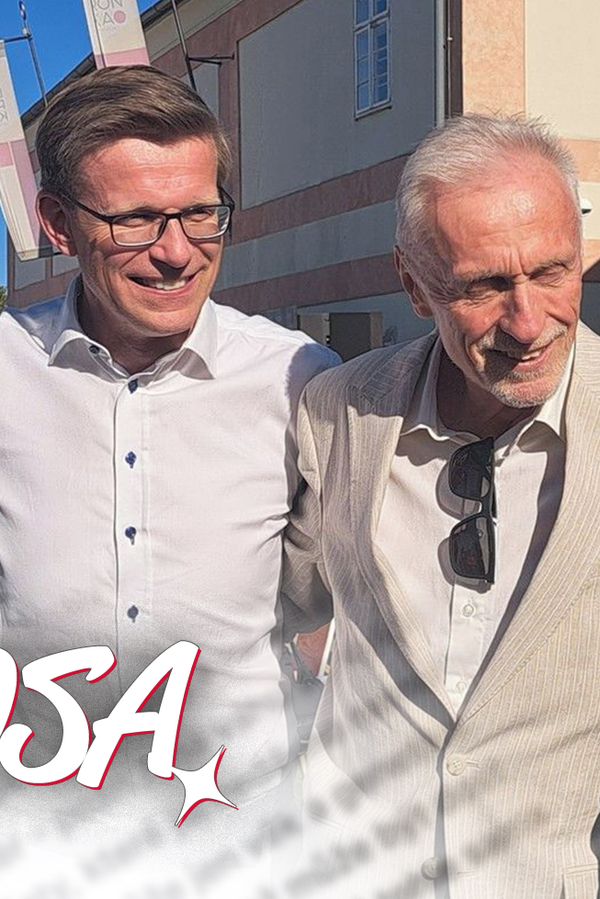 Glosa: Hele, koukni tamhle na tu pětatřicítku! To je ODS a už dlouho shání pořádného chlapa - fotka 1/1