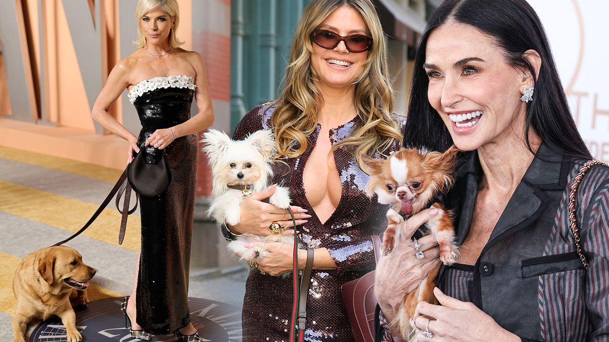 Čivavák Demi Moore, chlupáči Jennifer Aniston i hafan Emily Ratajkowski: Mrkněte na roztomilé pejsky slavných!