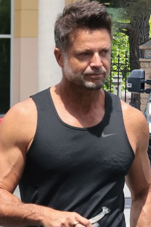 Hvězda Pobřežní hlídky David Charvet měl srazit a zabít psa sousedky. A pak z místa bezohledně ujet!  - fotka 1/1