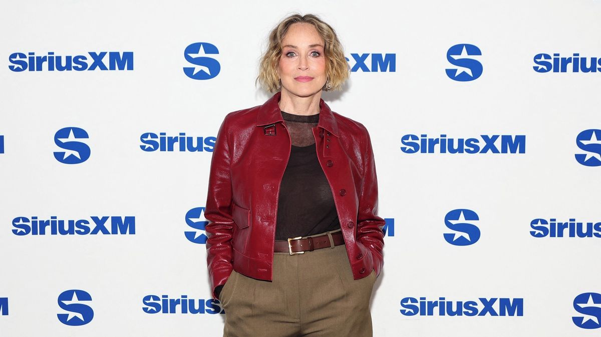 Roky spravovala tělo a tvář po mrtvici. Stálo ji to miliony: Teď Sharon Stone překvapila svěžím vzhledem