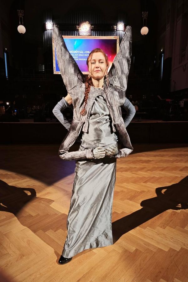 Režisérka Eva Toulová opět šokovala: Na ples dorazila v modelu jako ze Saxany, měla totiž čtyři ruce - fotka 1/1