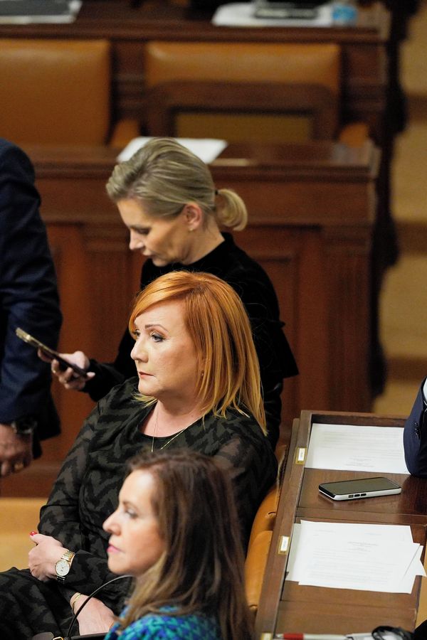 „Velký růžový“ Schillerové i pozadí Nachera: Poslankyně sdílela fotku z noční Sněmovny a fanoušci řvou smíchy - fotka 1/1
