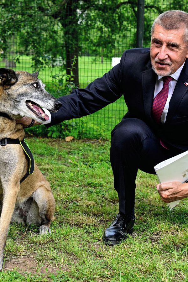 Andrej Babiš zapózoval s policejním psem: Dali mu vskutku originální jméno. Ještě víc zaujala zvířecí řeč těla - fotka 1/1