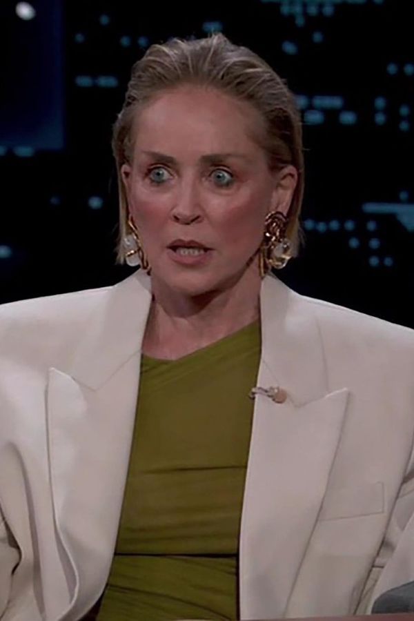 Sharon Stone odhalila šílený důvod konce svého manželství. Moderátor pořadu nestačil zírat - fotka 1/1