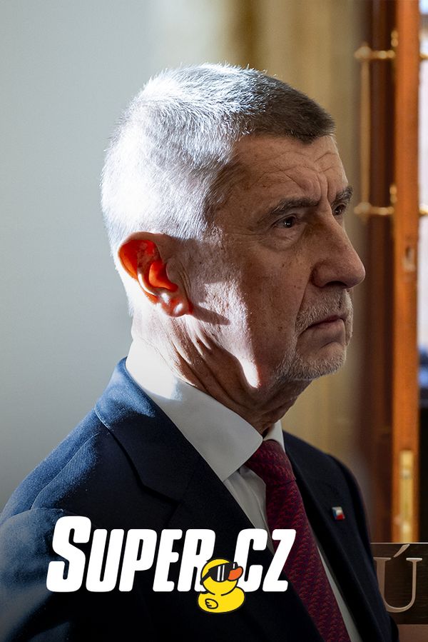 Super kachna: Vláda už ztratila veškeré zábrany! Ústavnímu soudu zbývají poslední týdny do rozpuštění - fotka 1/1