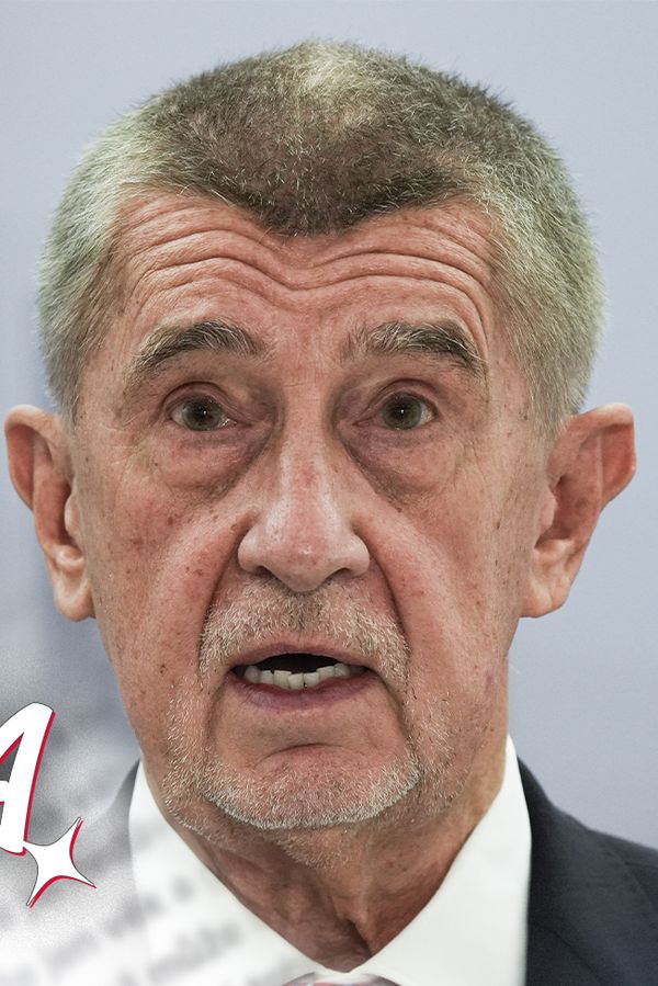 Glosa: Babiš si zve ministry na kobereček. Tohle je ale nehorázná drzost! - fotka 1/1