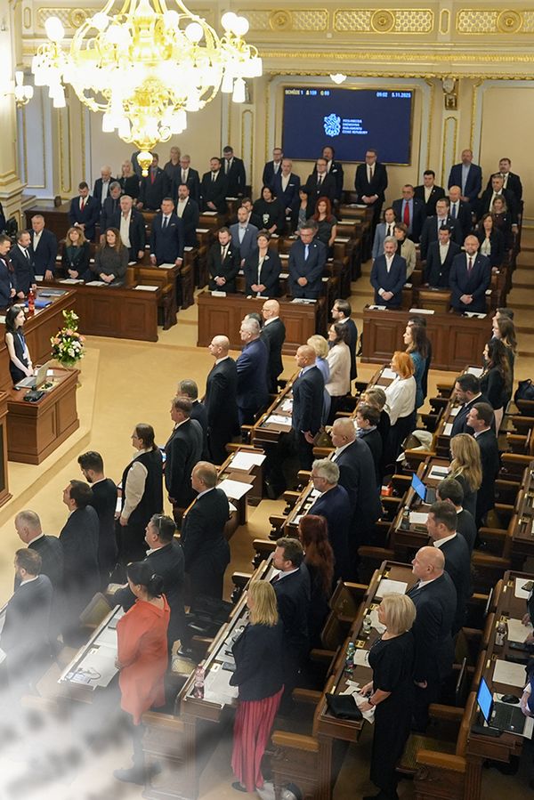 Glosa: Dojí se to, dojí… Neuhodnete, která dvě politická esa mají ve Sněmovně jen základní plat - fotka 1/1