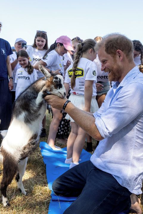 Kate s Williamem na Wimbledonu, princ Harry šel na kozí jógu. Mazlil se s nimi, mečel a dostal do rozkroku! 
