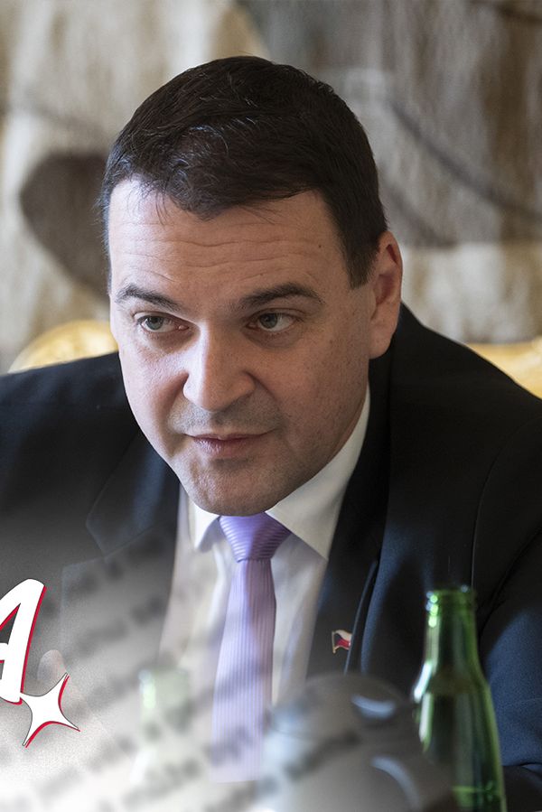 Glosa: Už je to únavné. Macinka je jako micinka, která furt škrábe a leze panstvu na stůl při jídle - fotka 1/1