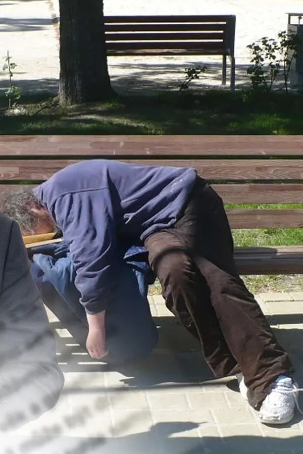 Glosa: Pane poslanče, koukněte tamhle do křoví! Vždyť ten vágus je váš brácha - fotka 1/1