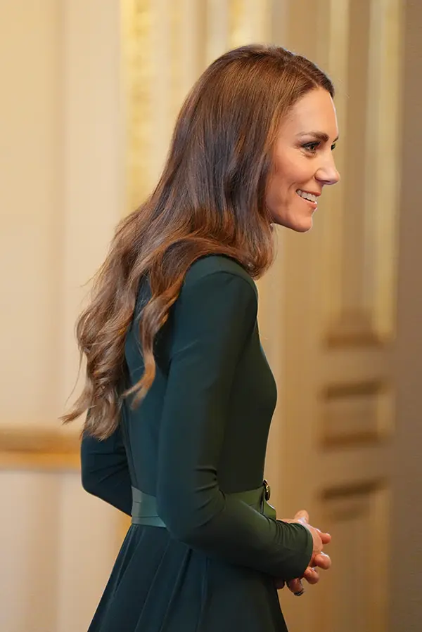 Švédská princezna Sofia a britská Kate oblékly ve stejný den stejné šaty! Fanoušci se hádají, které to víc sluší - fotka 1/1